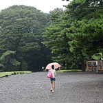 酸性雨でハゲるという噂は本当か