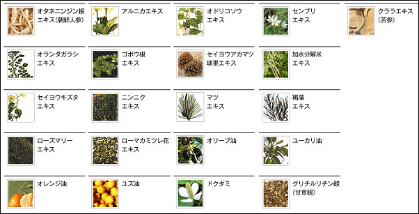 プレミアムブラックシャンプーの成分