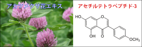 アカツメクサ主成分のキャピキシル