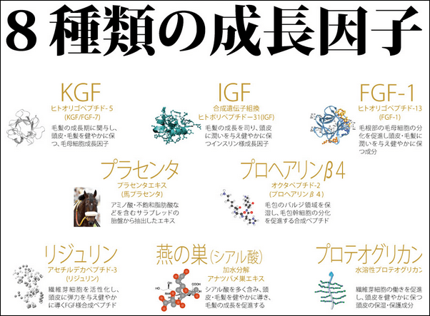 Deeper3Dの成長因子
