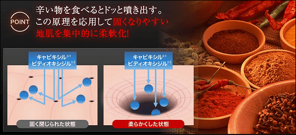 フィンジアのゲートアクセス理論