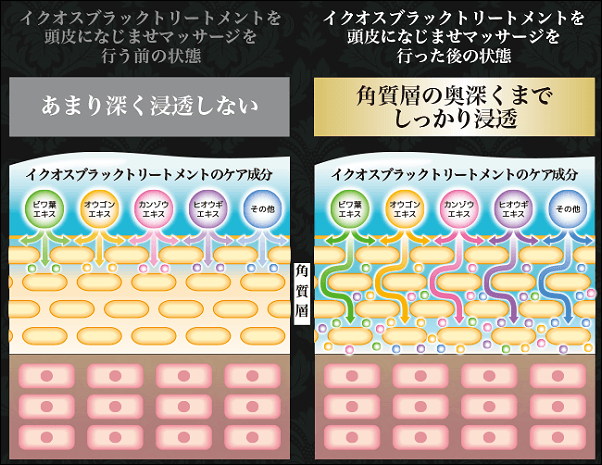 イクオスブラックトリートメントの効果