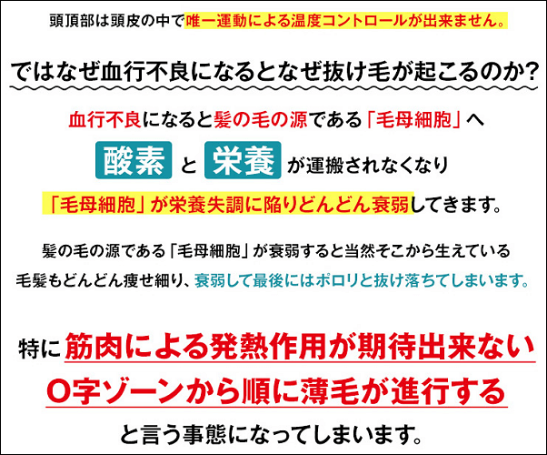 MSTT1が語る脱毛メカニズム