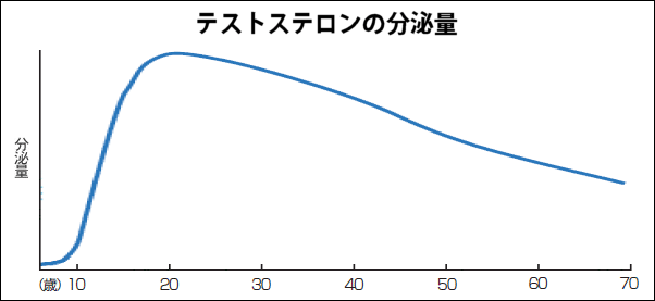 男性ホルモン分泌量