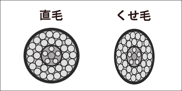 くせ毛の原因 断面