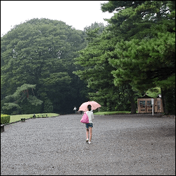 酸性雨でハゲるはウソ？