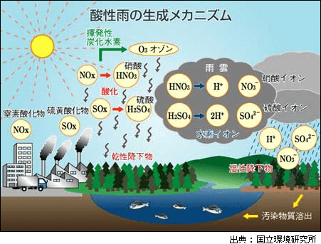 酸性雨の仕組み