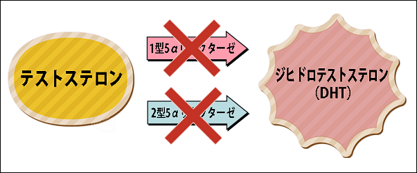 プロキャピルの効果