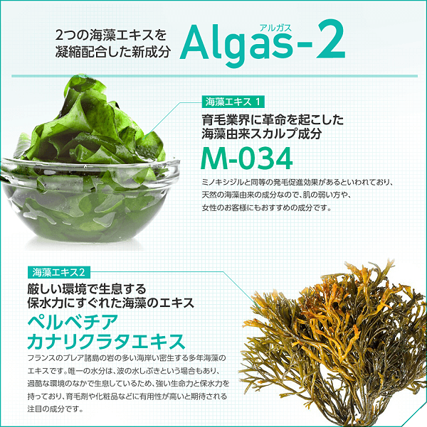 アルガス2とは