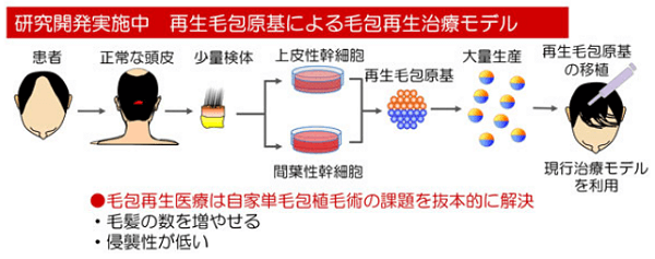 理研の毛髪再生技術