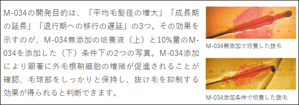天真堂ソヴール08のM-034