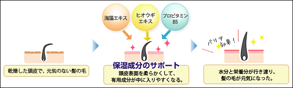 エンジェルリリアンプラスの成分と効果