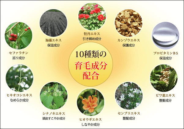 エンジェルリリアンプラスの有効成分やその他成分