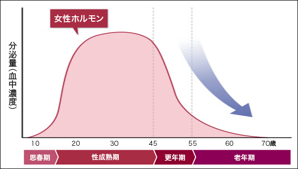 女性ホルモンの減少による薄毛
