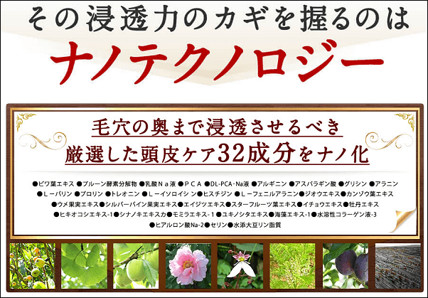 ベルタ育毛剤のナノテクノロジー