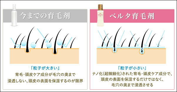 ベルタ育毛剤の浸透力の秘密