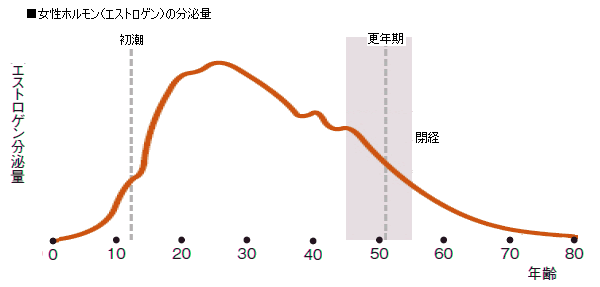 女性ホルモンの分泌量推移
