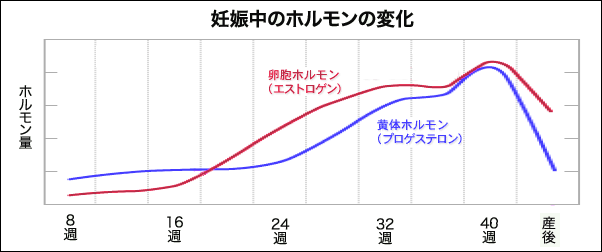 妊娠から出産までの女性ホルモン量