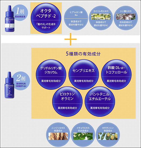 Wアプローチヘアプログラムの成分