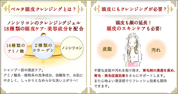 ベルタ育毛剤の頭皮クレンジング