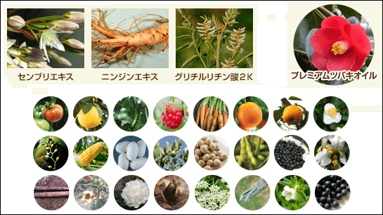 ハリモアの全成分
