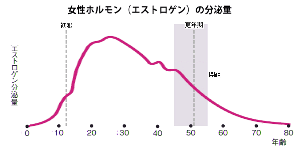 女性ホルモンの分泌量