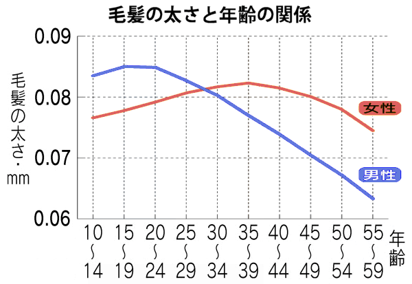 髪の太さのピーク