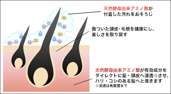 ドクターボーテムシャンプーの洗浄成分