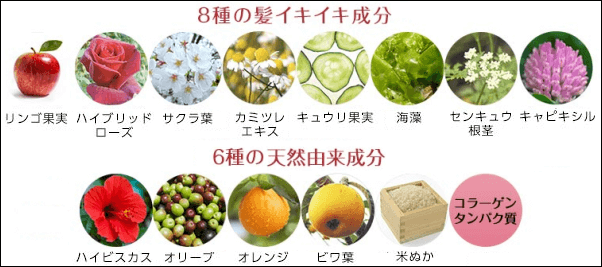 haruシャンプーの主な成分