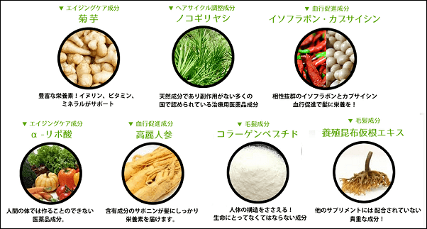 ぐんぐんの7つの成分